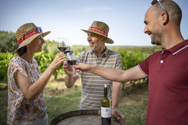 From Montpellier: Winery Tour in a Vintage Citroën 2CV - Wine Tasting Experience
