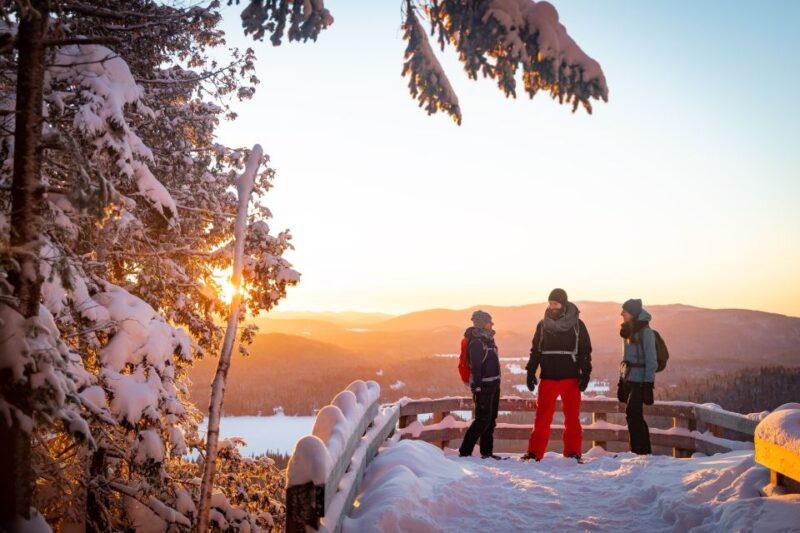 From Montreal: Mont-Tremblant National Park Hiking Day Trip - Key Points