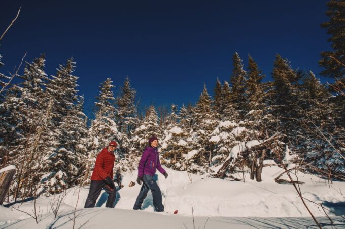 From Montreal: Mont-Tremblant National Park Hiking Day Trip - Customer Feedback