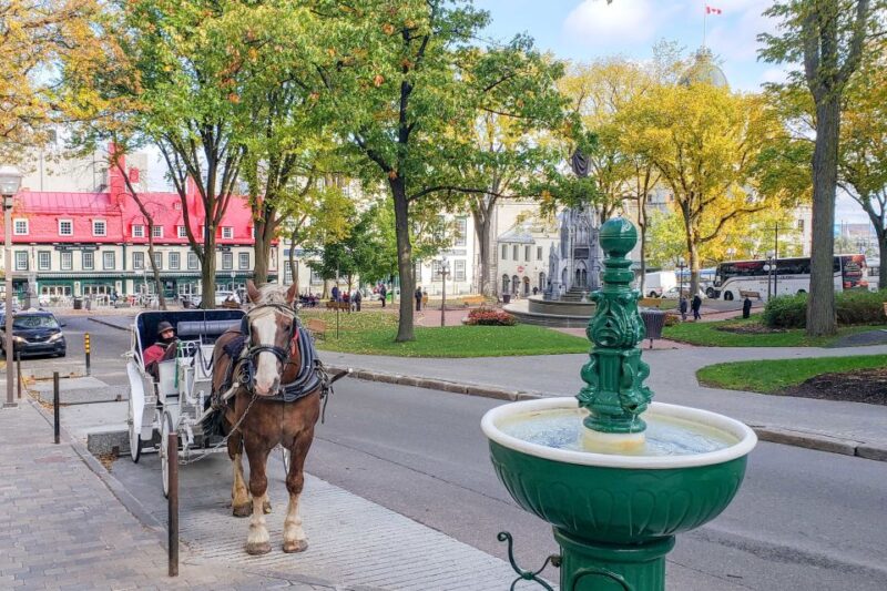 From Montreal: Quebec City and Montmorency Falls Day Trip - Key Points