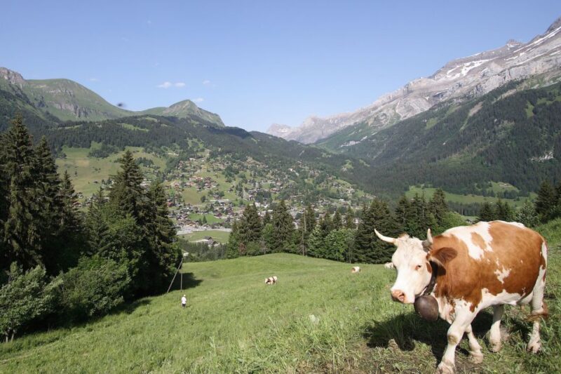 From Montreux: Glacier 3000 Day Trip - Inclusions