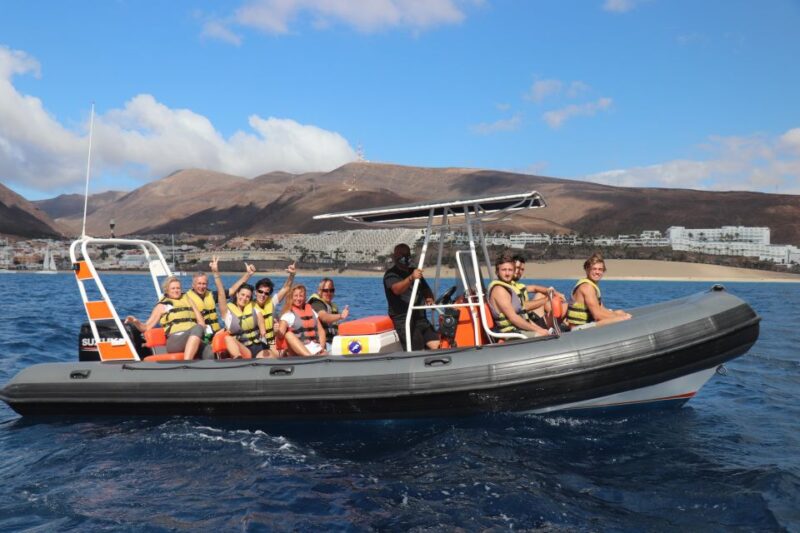 From Morro Jable: Dolphin and Whale Watching by Speedboat - Key Points