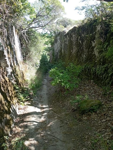 From Mugnano: the Etruscan Pyramid and Santa Cecilia - Secret Stop: Discover Hidden Gems