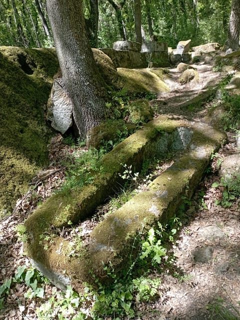 From Mugnano: the Etruscan Pyramid and Santa Cecilia - Visiting Santa Cecilia Church