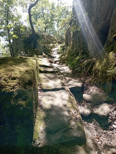 From Mugnano: the Etruscan Pyramid and Santa Cecilia - Natural Treasures: The Wild Woods