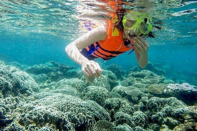 From Mui Ne To Vinh Hy Bay Snorkeling And Fishing Tour | Day Trip - Key Points