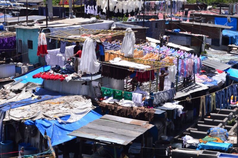 From Mumbai: Half-Day Shore Excursion - Experience Details
