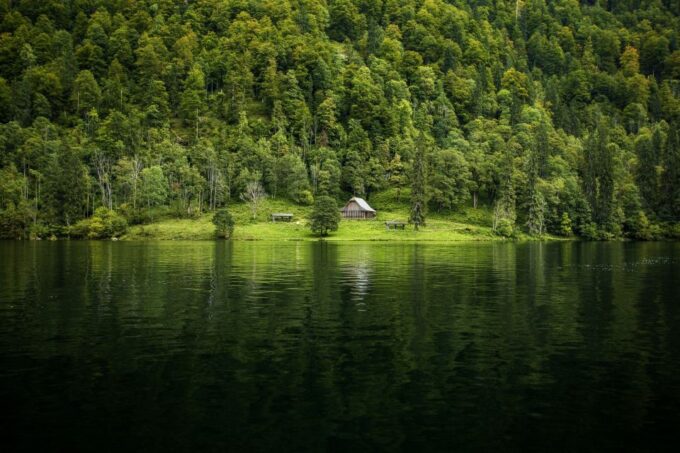 From Munich: Königssee Day Tour by Van - Highlights of the Tour