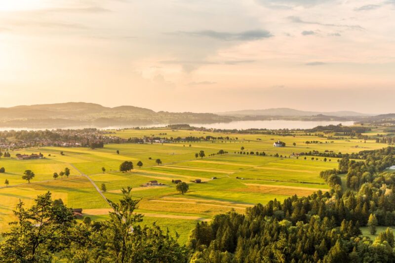 From Munich: Neuschwanstein Castle Full-Day Trip by Van - Scenic Bavarian Alps Drive