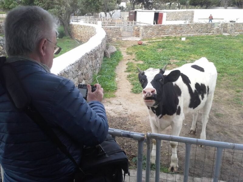 From Mykonos: Ano Mera Farm Tour - Experience Highlights