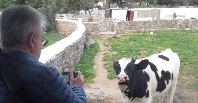 From Mykonos: Ano Mera Farm Tour - Getting to the Farm