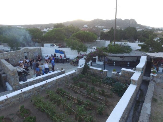 From Mykonos: Ano Mera Farm Tour - Local Snacks and Raki
