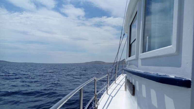 From Mykonos: Full-Day Ancient Delos & Rhenia Island Cruise - Activities on the Cruise