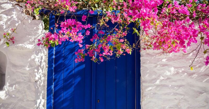 From Mykonos Town: Guided Sightseeing Tour With Windmills - Key Points