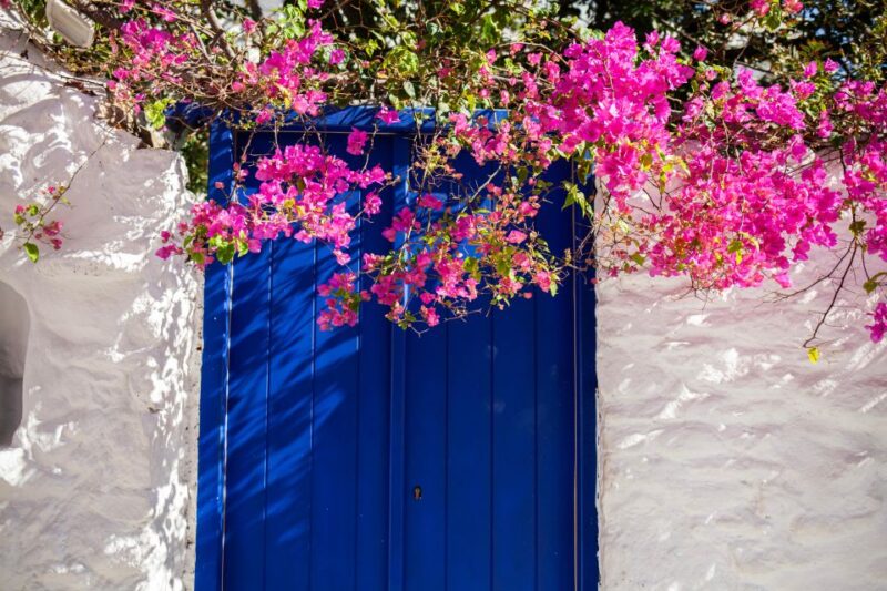 From Mykonos Town: Guided Sightseeing Tour With Windmills - Transportation