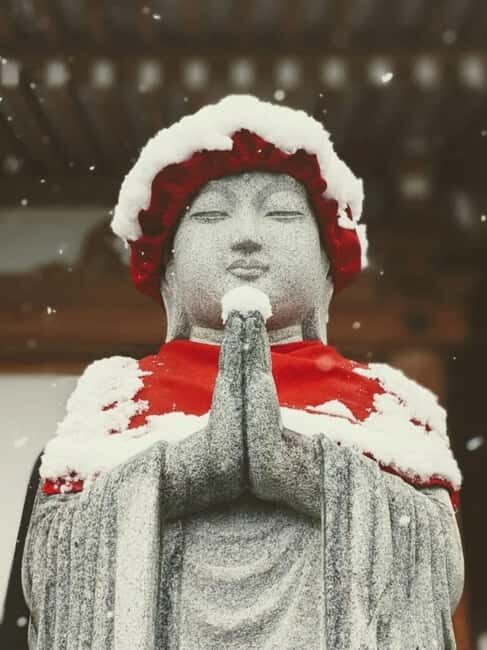 From Myoko Kogen: Snow Monkey Park and Zenkoji Temple Tour - Key Points
