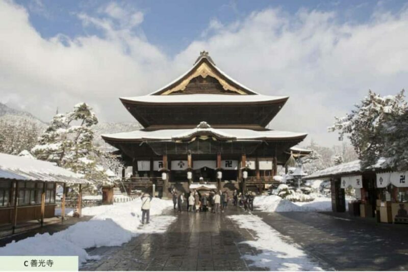 From Myoko Kogen: Snow Monkey Park and Zenkoji Temple Tour - Who Should Consider This Tour?