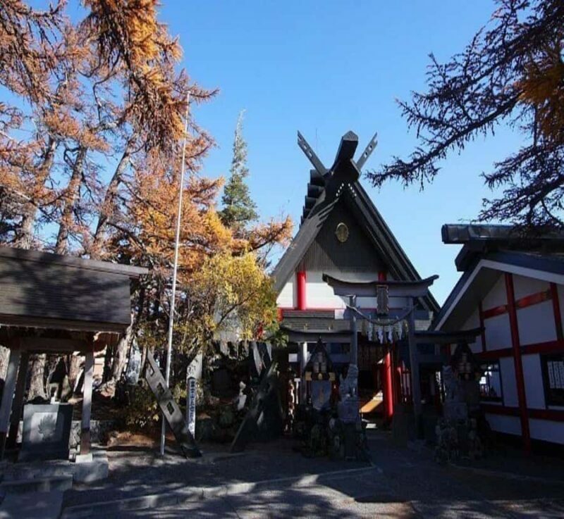 From Nagano: Mount Fuji Highlights & Hidden Landscapes Tour - A Complete Breakdown of the Tour Experience