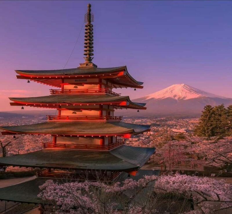 From Nagano: Mount Fuji Private Full-Day Customized Tour - Key Points