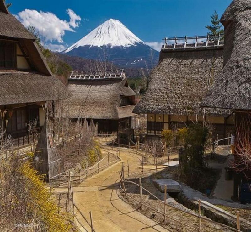 From Nagano: Mount Fuji Private Full-Day Customized Tour - Who Should Consider This Tour?
