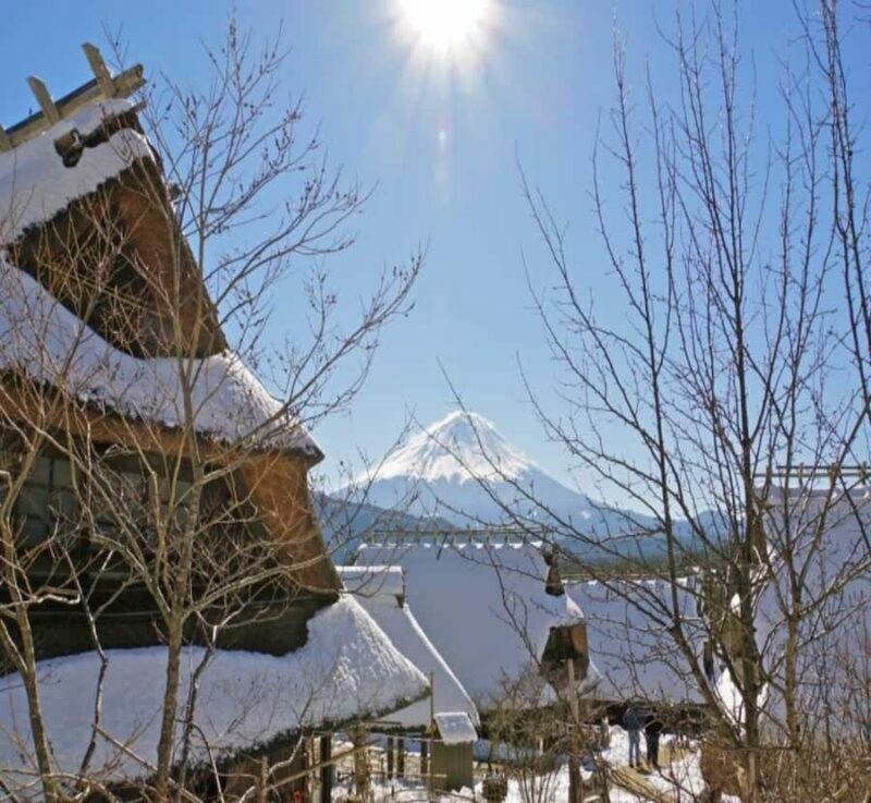 From Nagano: Mount Fuji Private Full-Day Customized Tour - Final Thoughts