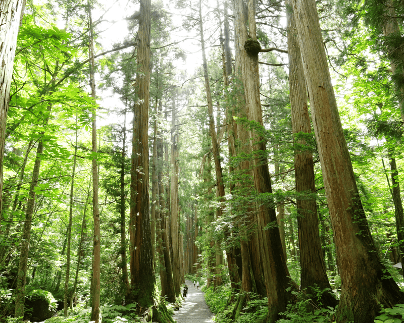 From Nagano/Myoko: Private Tour of Togakushi Shrine - Key Points