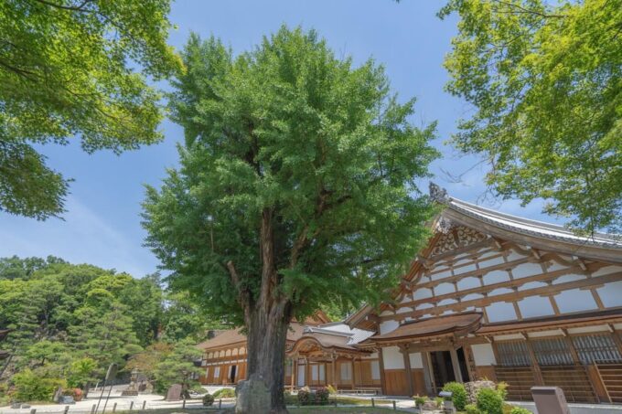 From Nagoya: Enakyo, Magome-juku & Tsumago-juku 1D Bus Tour - Serene Temple Gardens