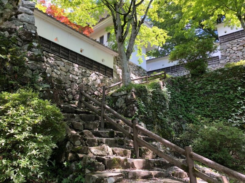 From Nagoya: Gujo, Hida Takayama, and Shirakawa-go Day Tour - Transportation Details