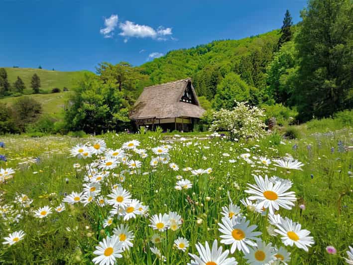 From Nagoya: Hida Takayama and Shirakawa-go UNESCO Day Trip - Exploring Hida Takayama