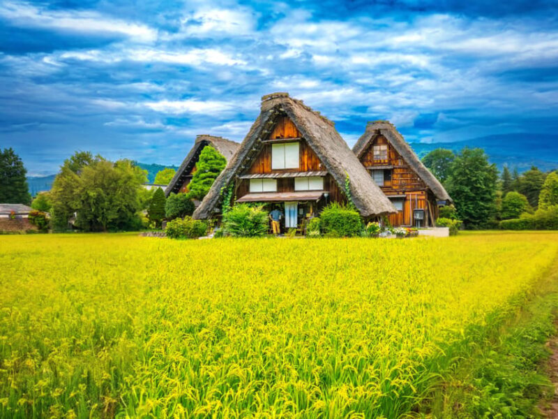 From Nagoya: Hida Takayama and Shirakawa-go UNESCO Day Trip - Dining Options in Takayama