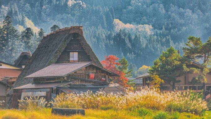 From Nagoya: Hida Takayama and Shirakawa-go UNESCO Day Trip - Rakuto Cafe in Shirakawa-go