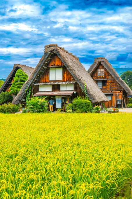 From Nagoya: Hida Takayama and Shirakawa-go UNESCO Day Trip - Tour Details and Inclusions
