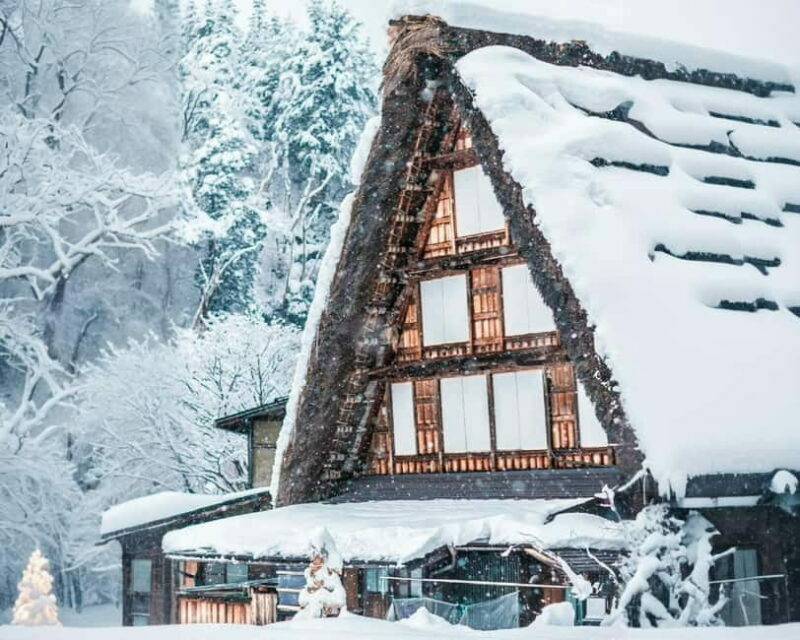 From Nagoya: Hida Takayama and Shirakawa-go Winter Day Tour - Transportation & Guide Experience