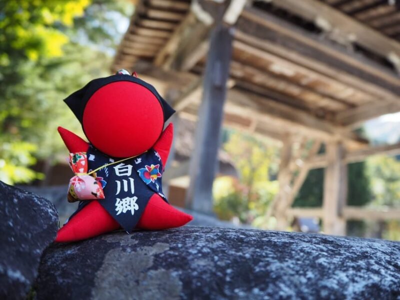 From Nagoya: Hida Takayama and World Heritage Shirakawa-go - Guided Tours in English