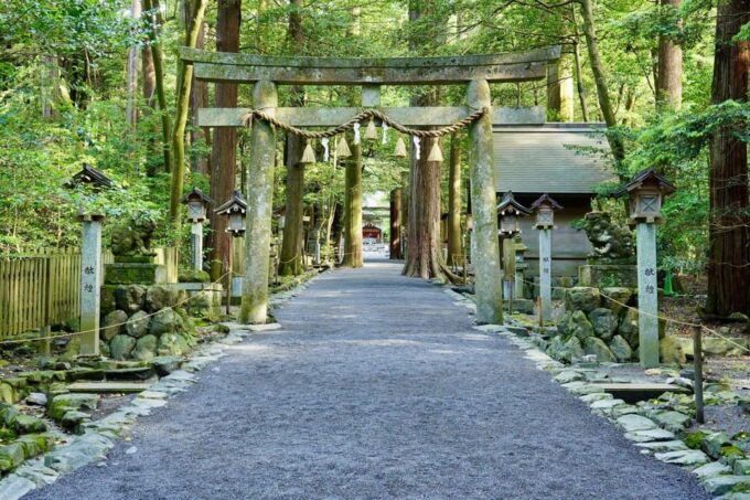 From Nagoya: Ise's Sacred Shrines and Captivating Coastlines - Frequently Asked Questions