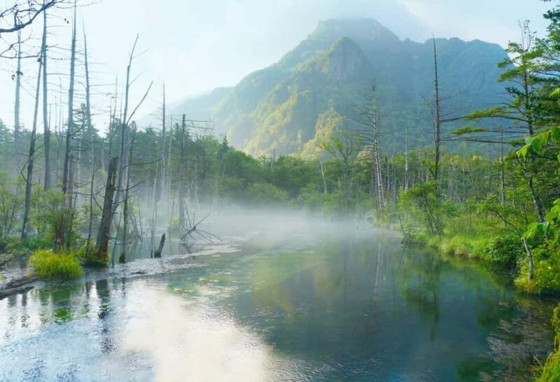 From Nagoya: Kamikochi Guided Hike in the Japanese Alps - Exploring the Japanese Alps: What This Tour Offers