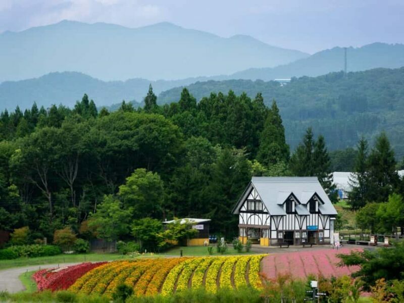 From Nagoya: Kamikochi Guided Hike in the Japanese Alps - Who Will Love This Tour?