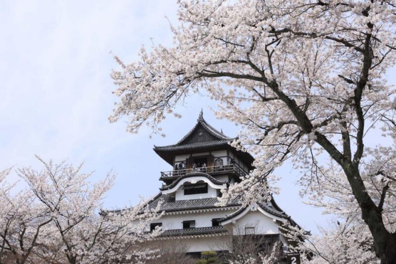 From Nagoya: Samurai Swords and Japans Oldest Castle - Knife Sharpening Experience