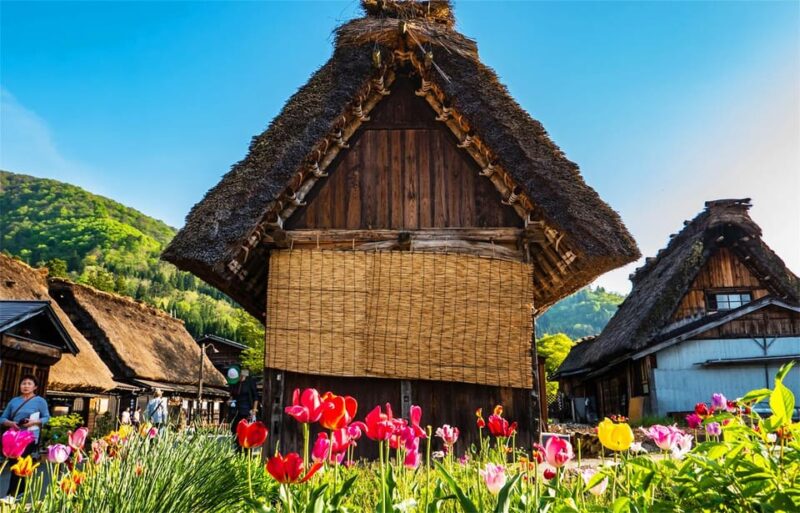 From Nagoya: Shiragawago and Hida Takayama Day Tour - Included Services