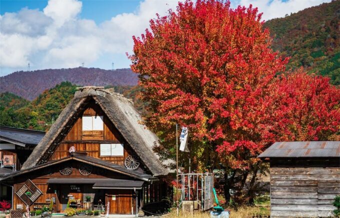 From Nagoya: Shiragawago and Hida Takayama Day Tour - Exploring Shirakawa-go