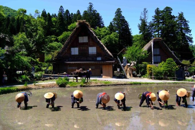 From Nagoya: Shirakawa-Go Bus Ticket With Hida Beef Lunch - Frequently Asked Questions
