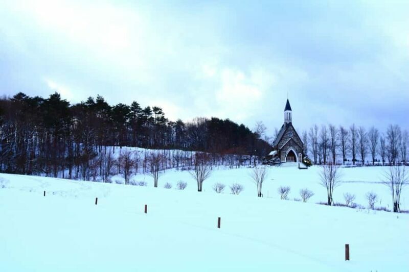 From Nagoya: Snow Day in the Japan Alps & Shirakawago - Morning Departure & Transportation