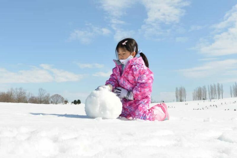 From Nagoya: Snow Day in the Japan Alps & Shirakawago - Exploring Shirakawago