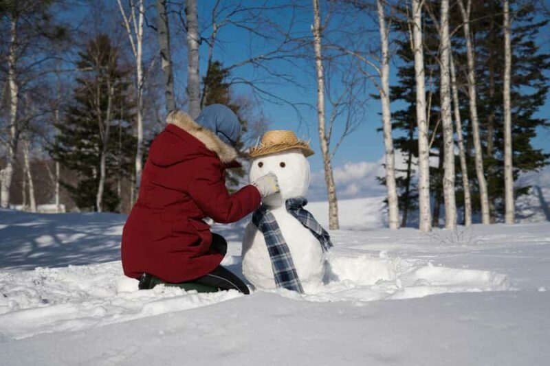 From Nagoya: Snow Day in the Japan Alps & Shirakawago - Return Journey and Closing