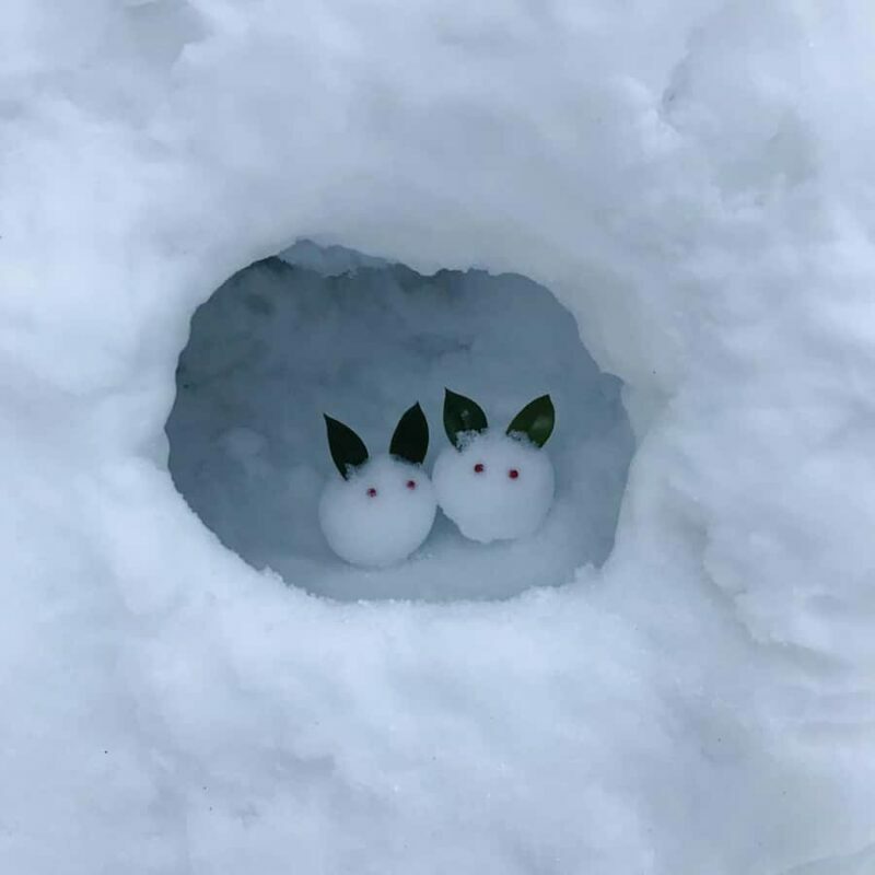From Nagoya: Snow Day in the Japan Alps & Shirakawago - What Makes This Tour Stand Out?