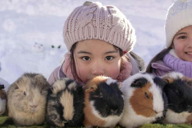 From Nagoya: Snow Day in the Japan Alps & Shirakawago - FAQ