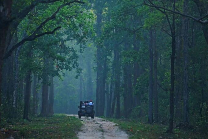 From Nagpur: Pench Wildlife Private Tour With Accommodation - How to Book and Pay