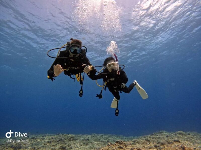 From Naha Scuba Diving Trip in Kerama (For Certified Divers) - Pickup and Drop-off