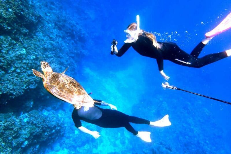 From Naha:Full-Day Kerama Island Experience 1Dive/Snorkeling - Final Thoughts