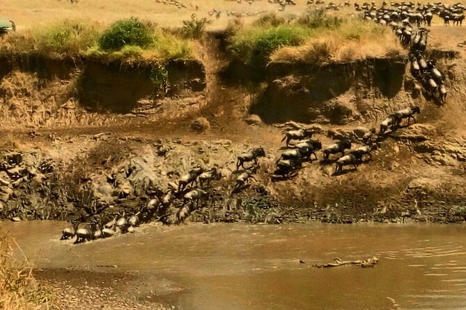 From Nairobi: 3 Days 2 Nights Masai Mara Group Joining Safari - Schedule
